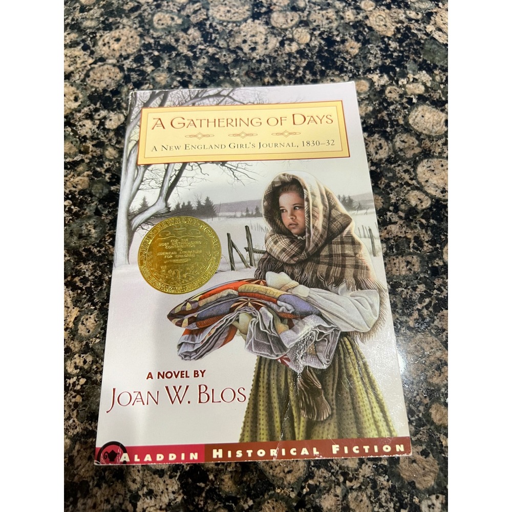 A Gathering of Days Joan W Blos & Magic Tree House Civil War on Sunday Book Lot